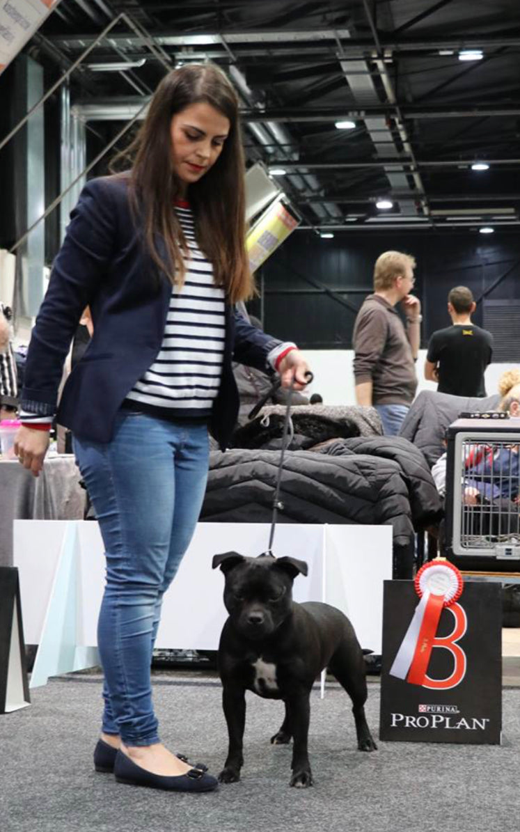 Internationale Hundeausstellung Offenburg 10. März 2019