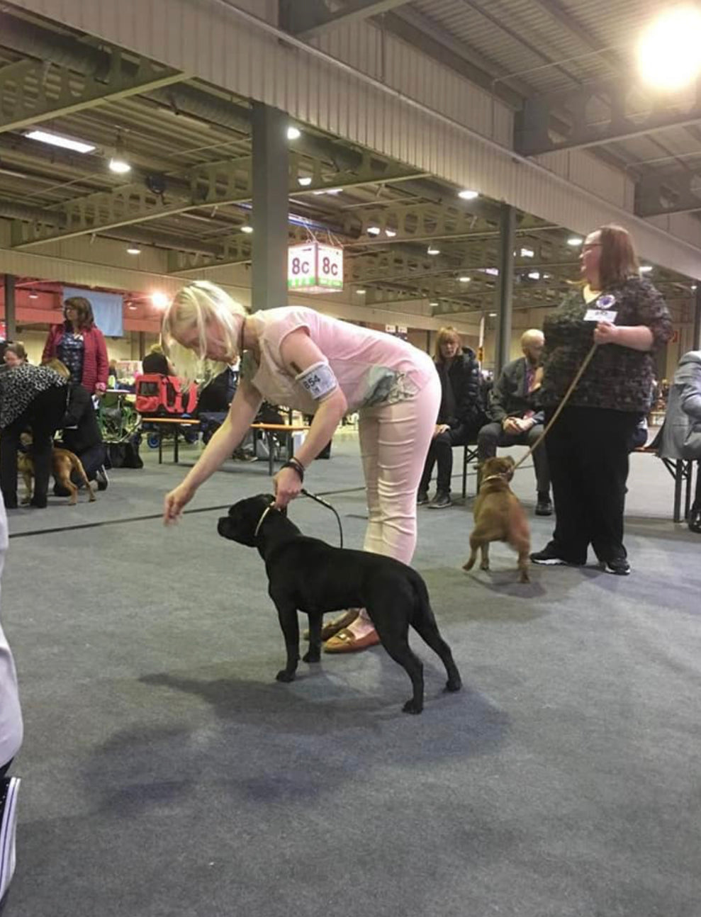Internationale Dog Show Luxenburg 11. Mai 2019