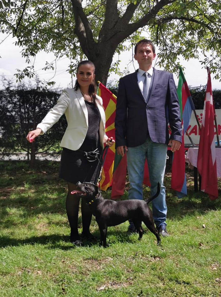 Internationalen Ausstellung am 28/29. April 2019 in Skopje