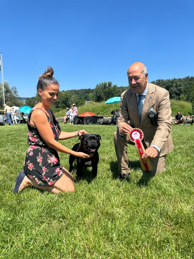 Internationale Hundeausstellung Aarau 25/26.06.2023