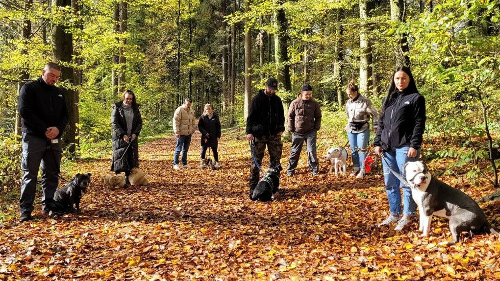 Gruppenkurs