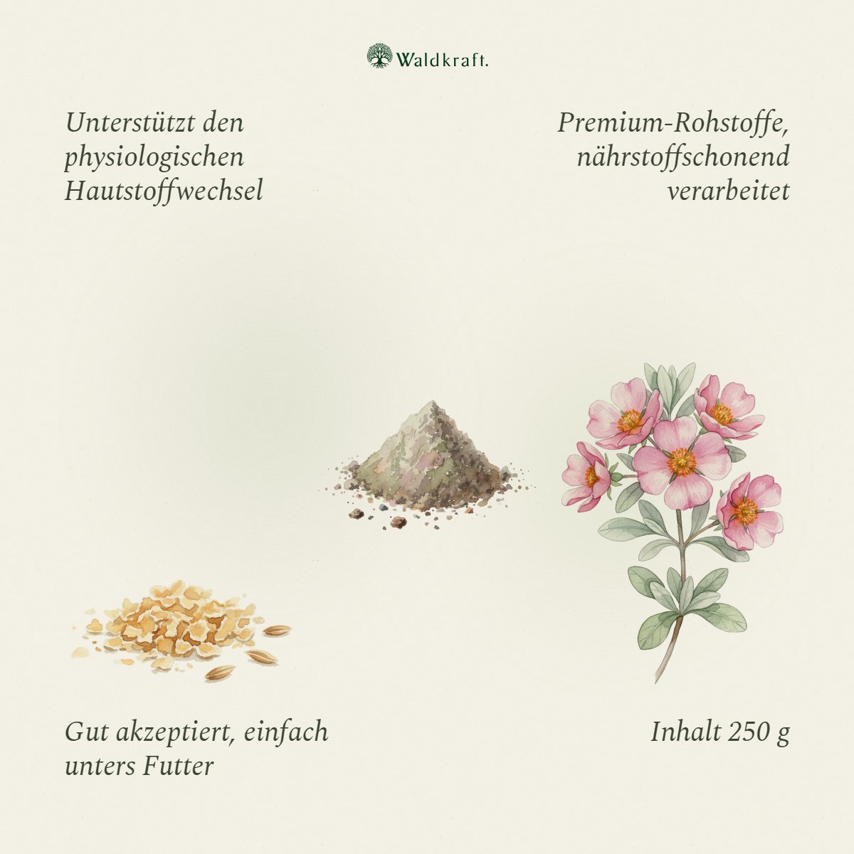 Arbor – Zeckenschutz zum Füttern für Hunde + Katzen Ergänzungsfuttermittel für Hunde und Katzen – 250g