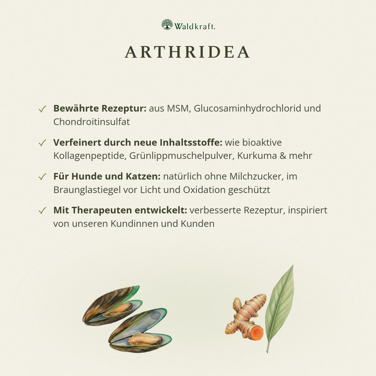 Arthridea – Die Göttin der Gelenke – 300g