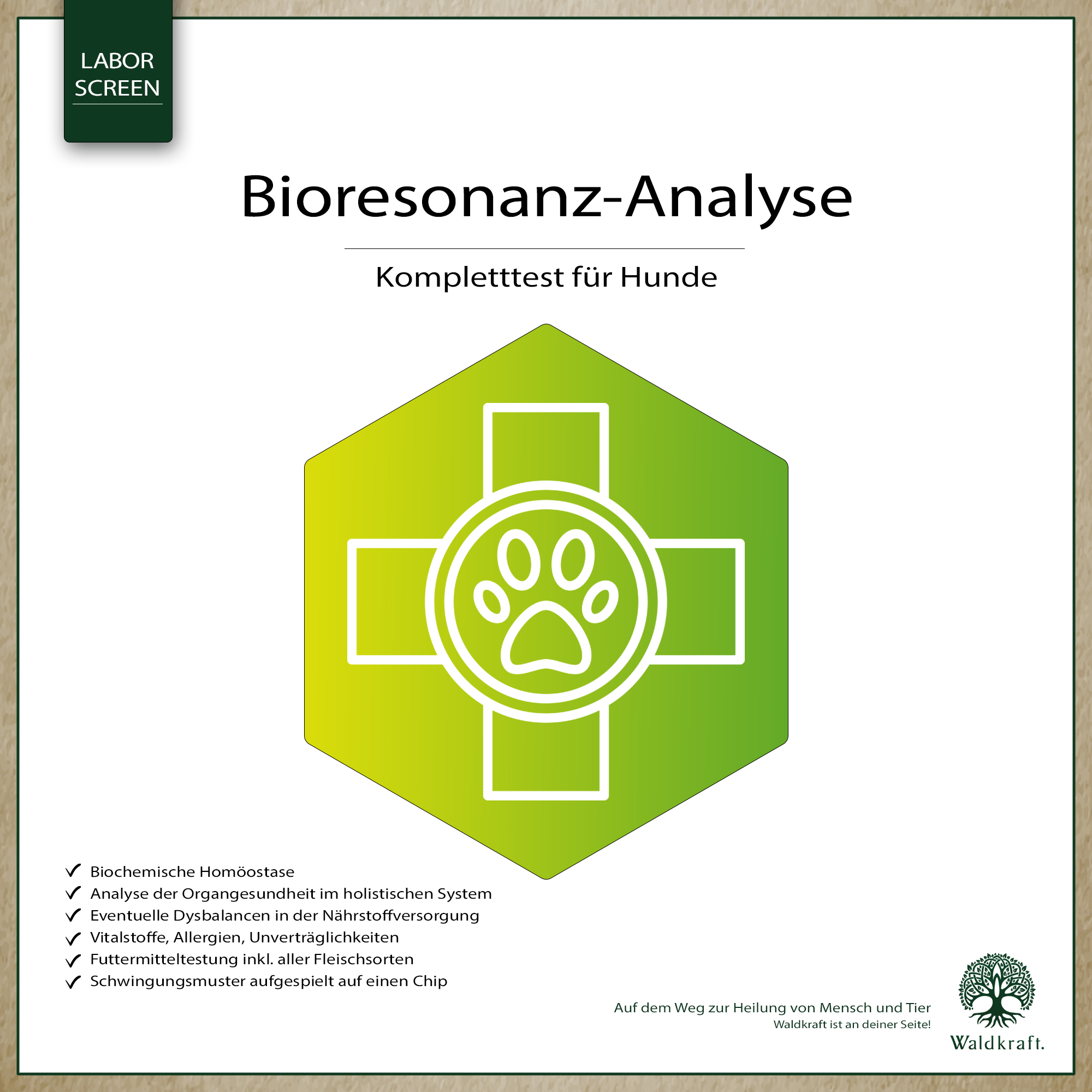 Bioresonanz-Analyse Hund – Ganzheitliche Fellproben-Analyse