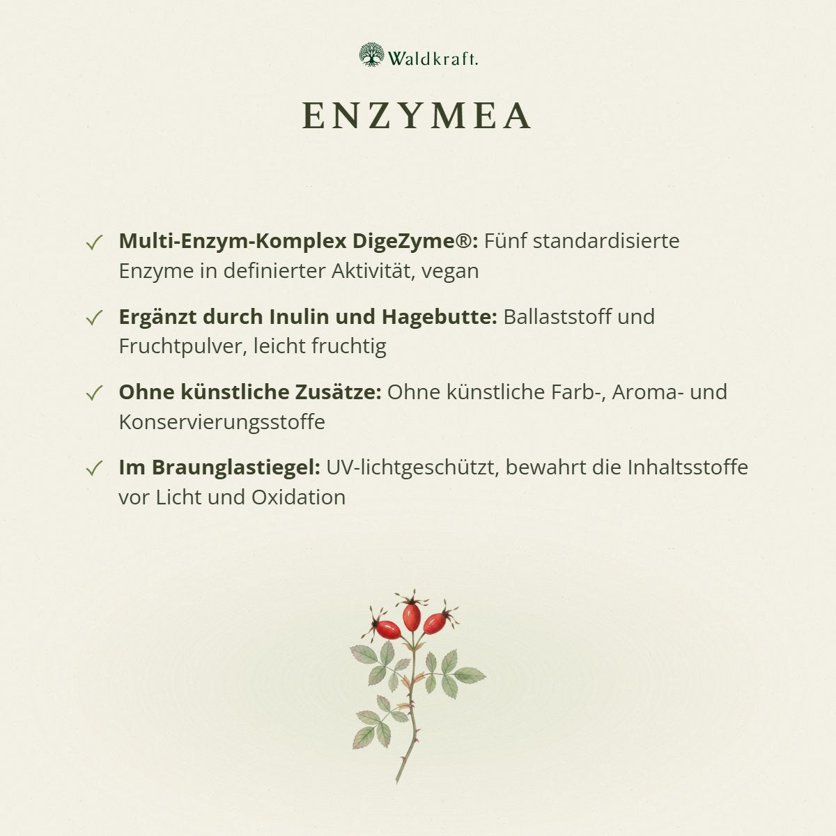 Enzymea, Enzymkomplex mit DigeZyme, 270 g von Waldkraft, Ansicht 3