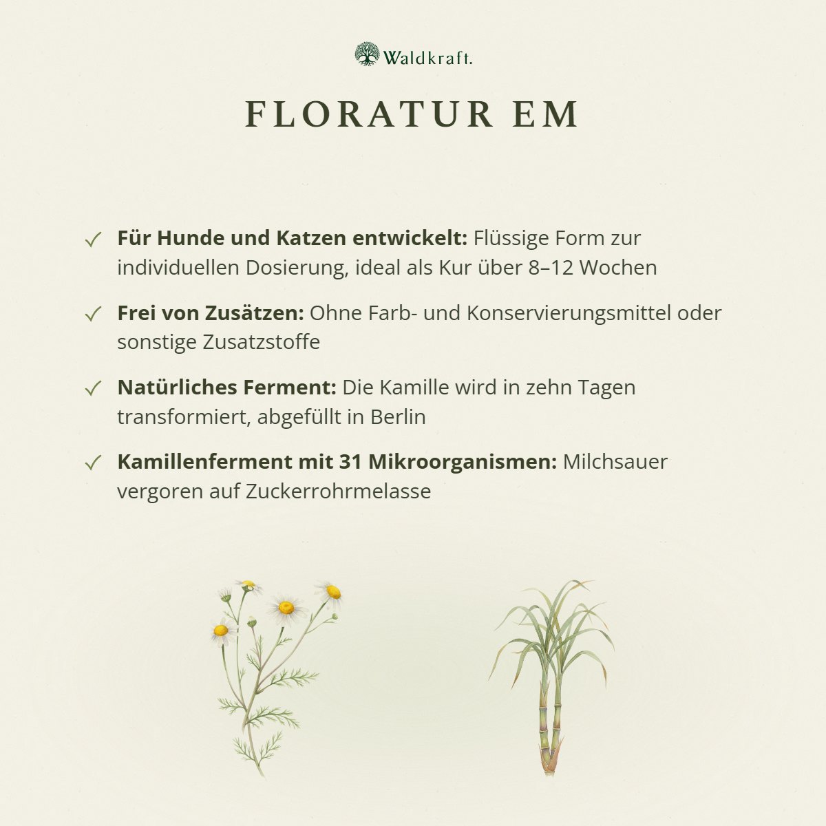 Floratur EM Premium – Kamillenferment mit 31 Mikroorganismen – 500ml