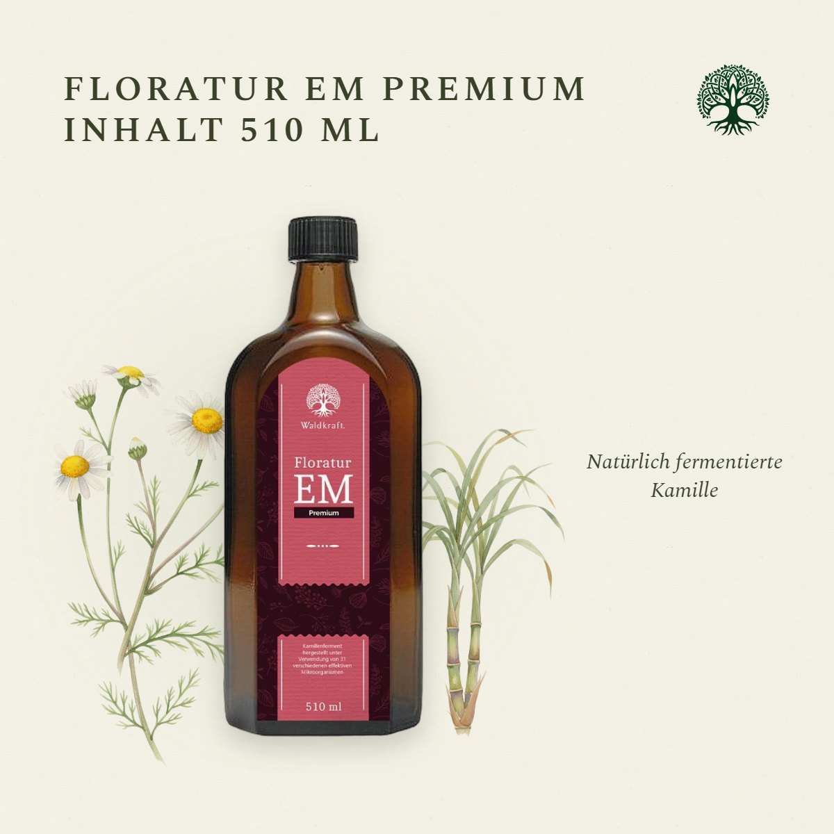 Floratur EM Premium – Kamillenferment mit 31 Mikroorganismen – 500ml