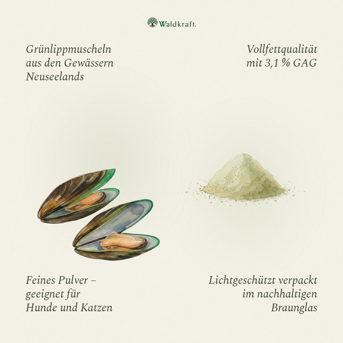 Grünlippmuschelpulver – Vollfett 3% GAG