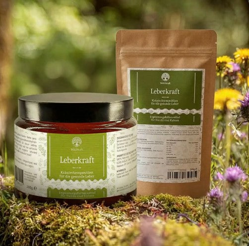 Leberkraft – Kräutermischung für die Leber – 200g