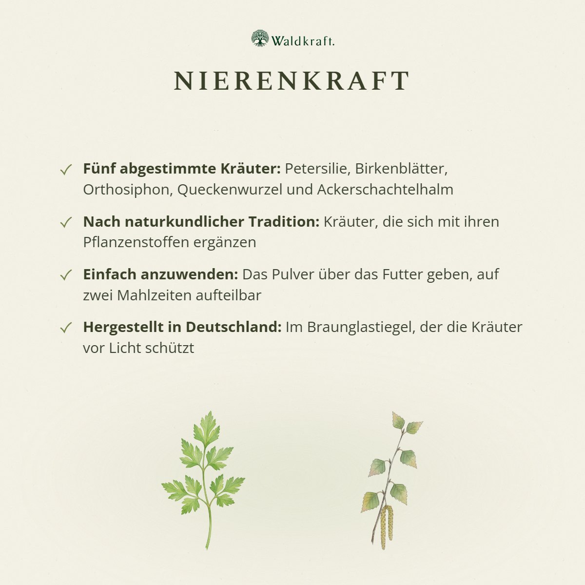 Nierenkraft – Kräutermischung für die Nieren von Hunden 240g