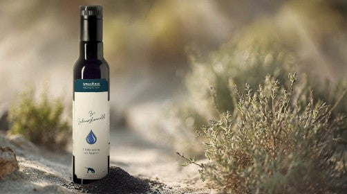 BIO Schwarzkümmelöl aus Ägypten – 1. Kaltpressung – 250ml