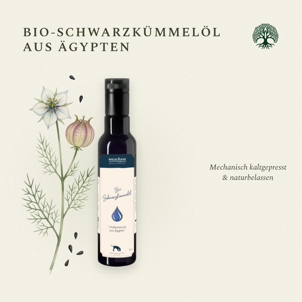 BIO Schwarzkümmelöl aus Ägypten, 1. Kaltpressung, 250ml von Waldkraft, Ansicht 4