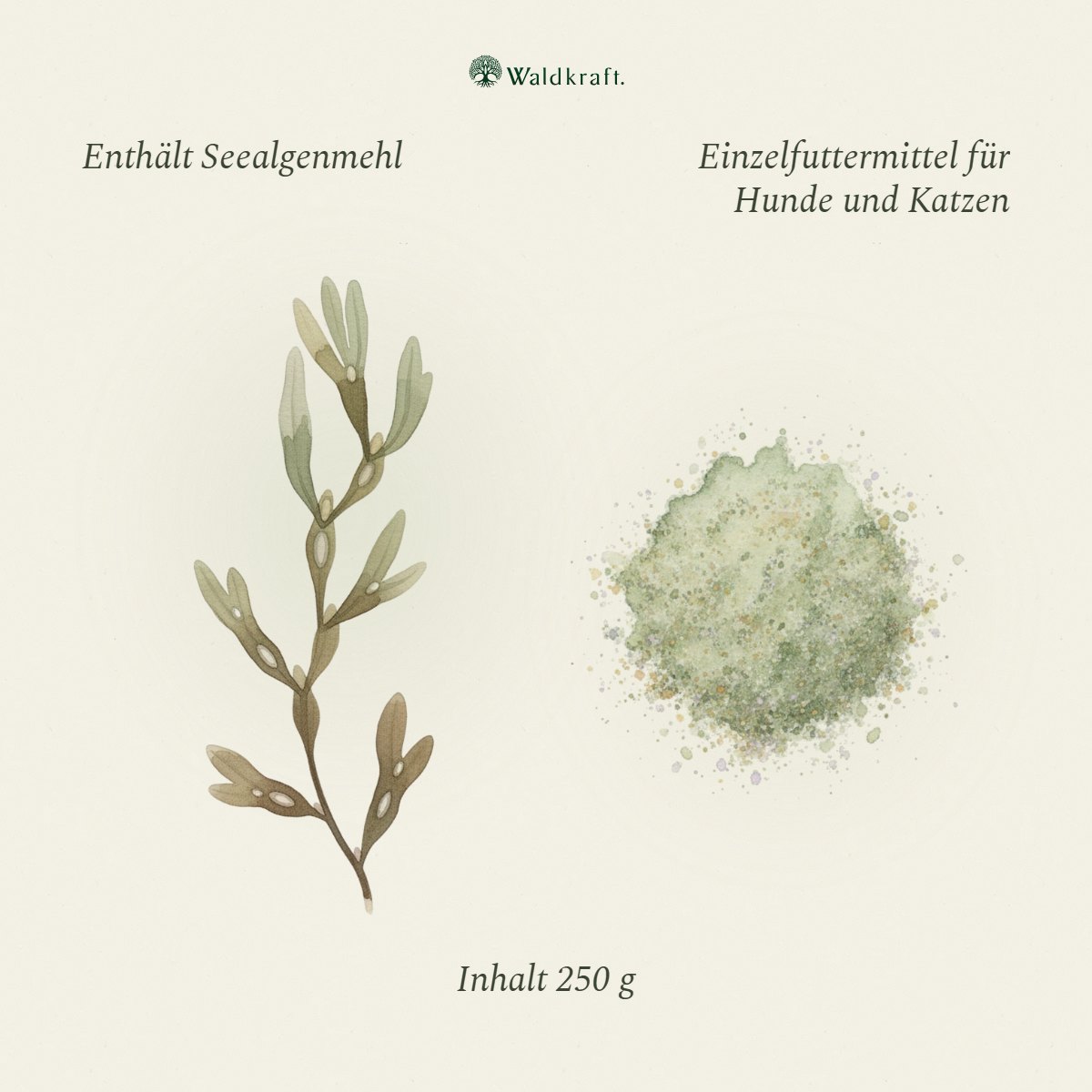 BIO Seealgenmehl – Natürliche Jodquelle (Ascophyllum nodosum) – 250g