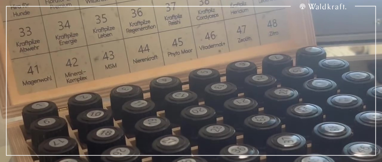 Waldkraft Labortests / Bioresonanz-Analyse