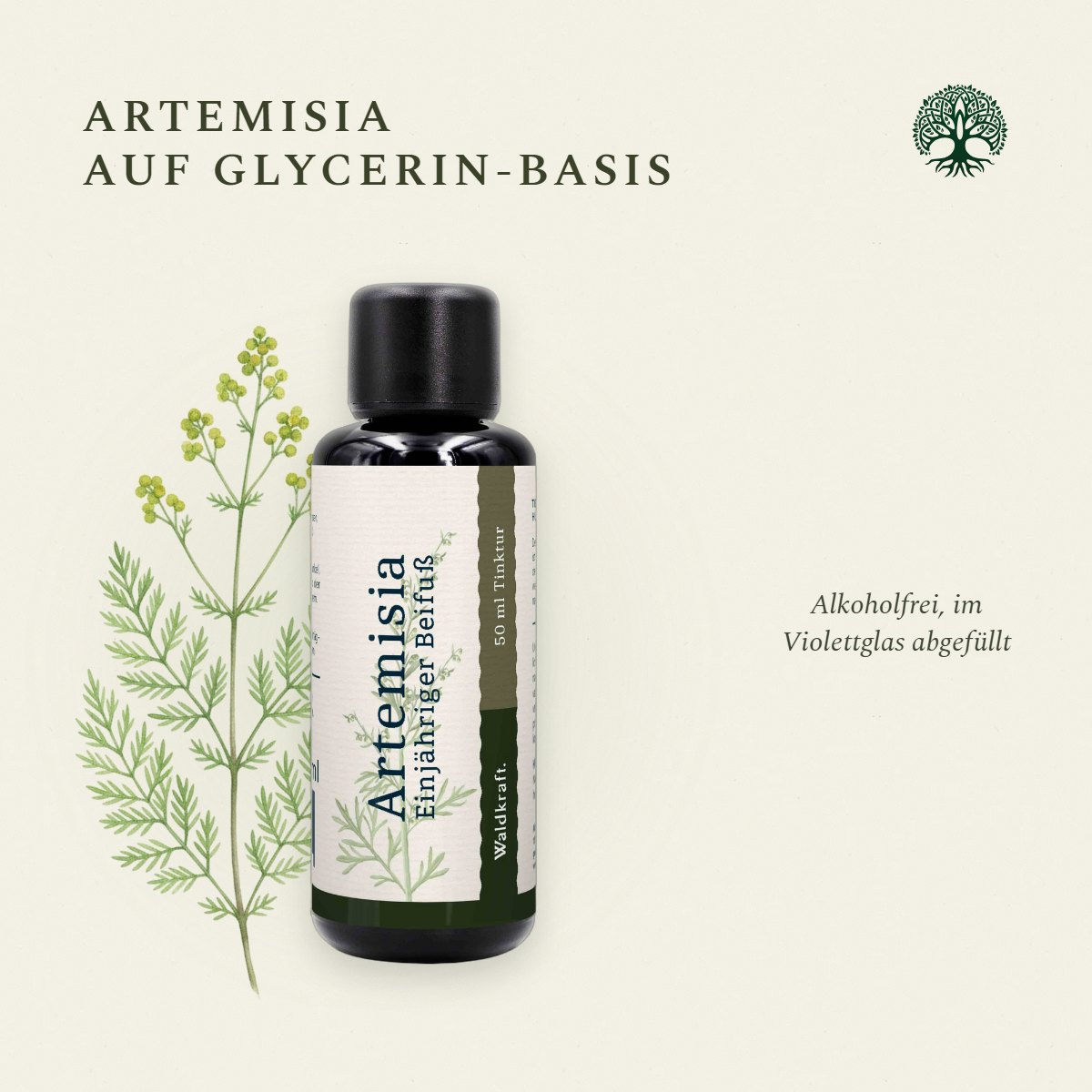 Artemisia annua, Einjähriger Beifuß, Glycerin-Auszug, 50ml von Waldkraft, Ansicht 5
