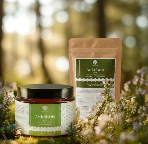 Arthribasis – Natürliche Gelenkunterstützung - 350g