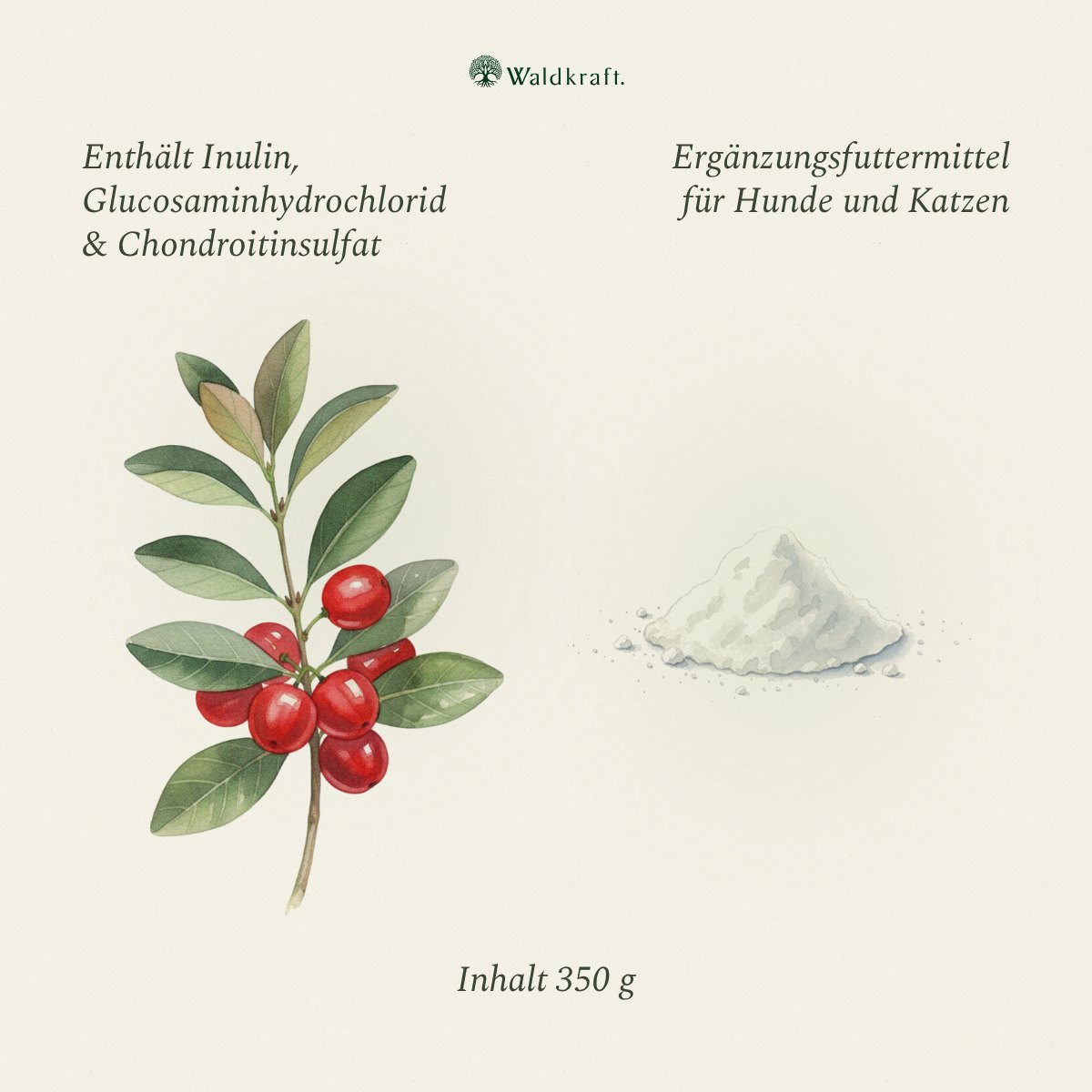 Arthribasis, Natürliche Gelenkunterstützung, 350g von Waldkraft, Ansicht 3