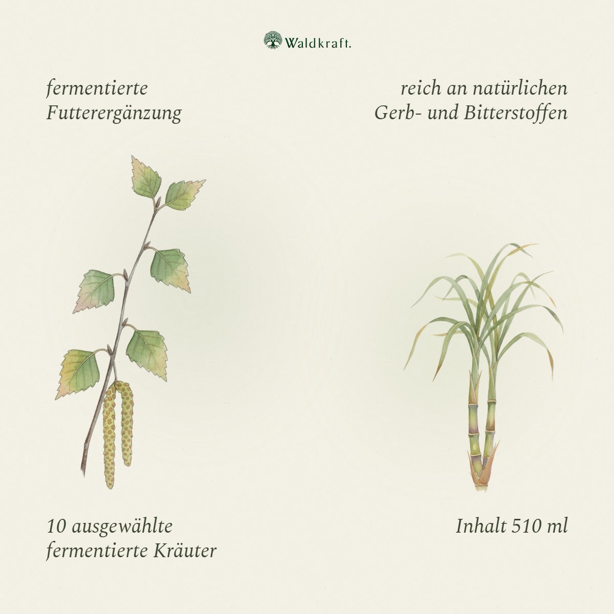 BIO Floratur Wildkraut – 10 Kräuter Ferment – 510ml