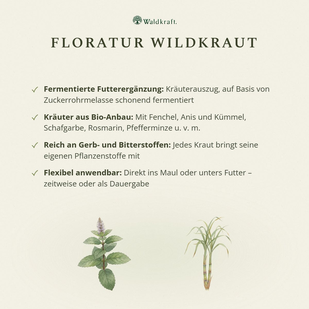 BIO Floratur Wildkraut – 10 Kräuter Ferment – 510ml