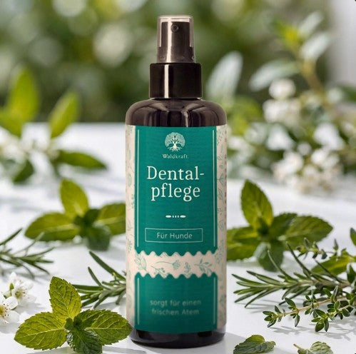 Dentalpflege für Hunde – 50ml