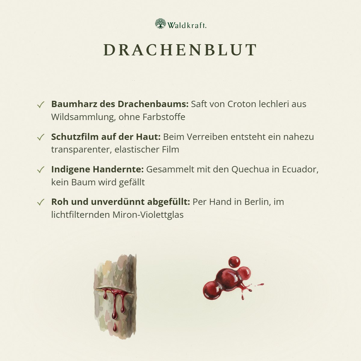 Drachenblut, Sangre de Drago 50ml von Waldkraft, Ansicht 3
