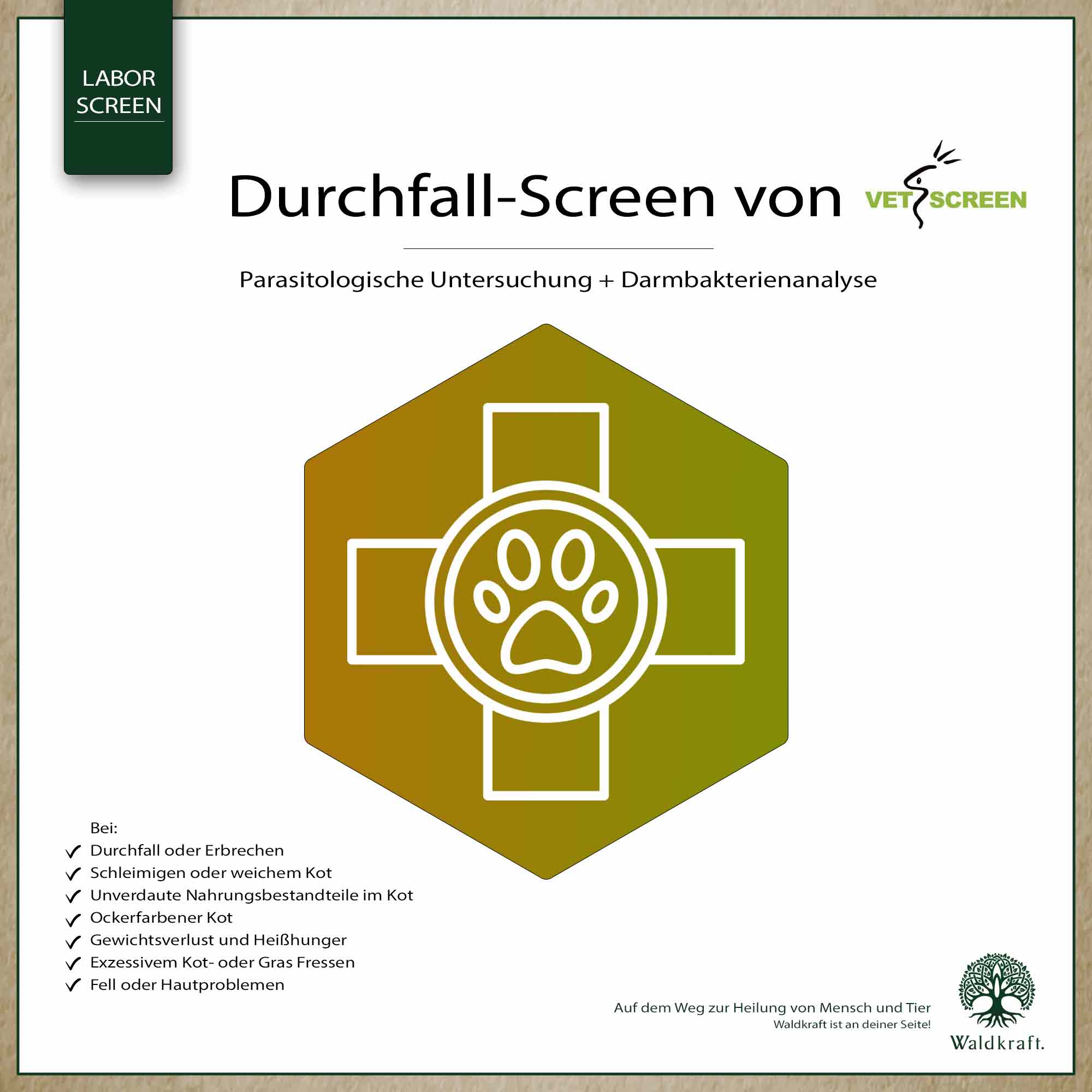 Vetscreen Durchfall-Screen – Umfassende Darmanalyse für Hunde und Katzen