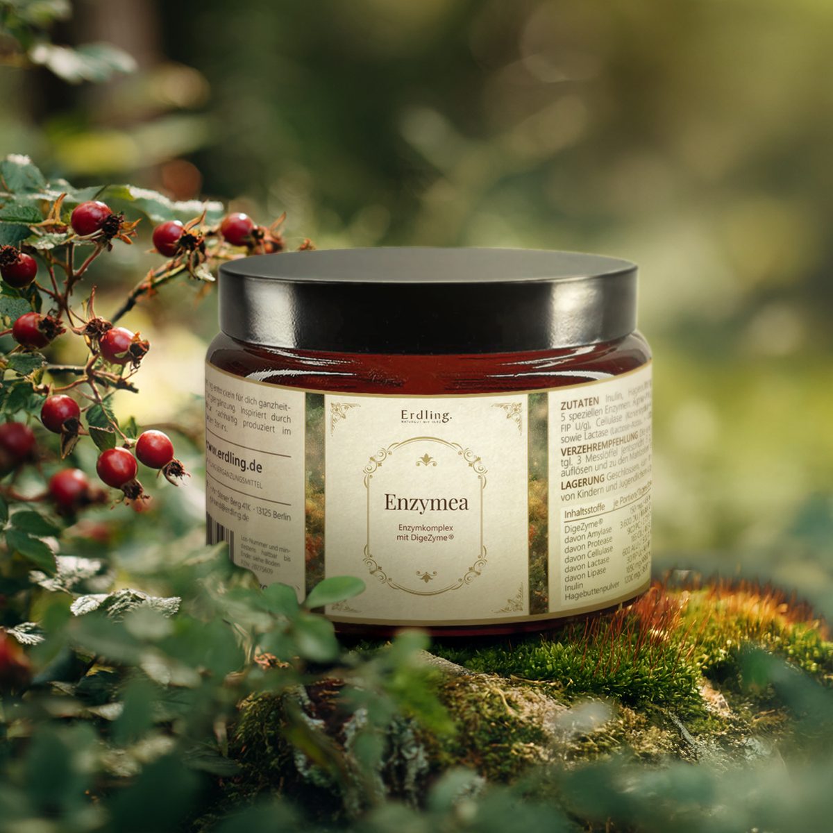 Enzymea – Enzymkomplex mit DigeZyme®