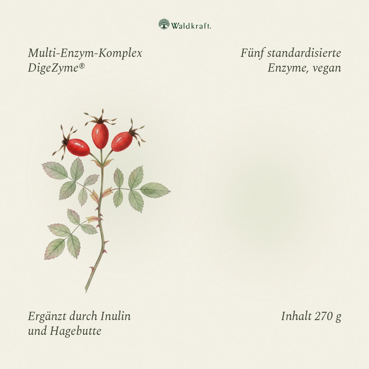 Enzymea – Enzymkomplex mit DigeZyme® - 270 g