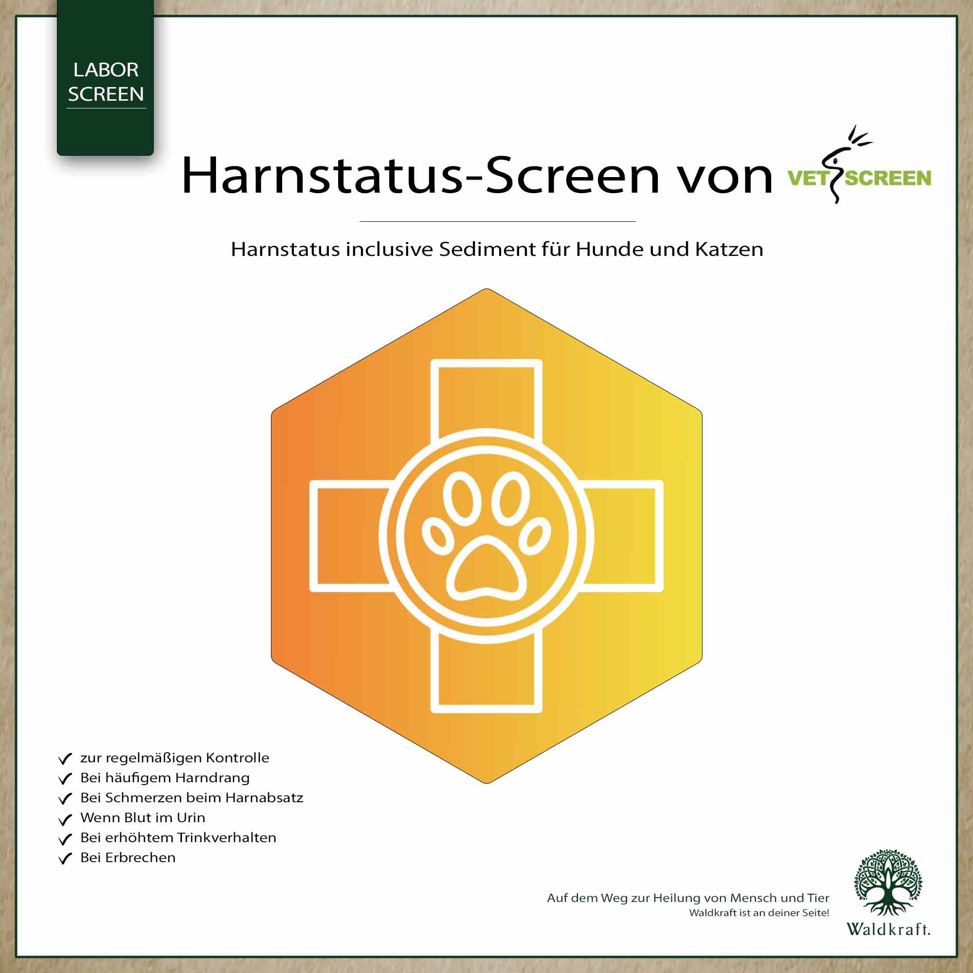 Harnstatus-Screen Harnanalyse inkl. Sediment für Hunde und Katzen