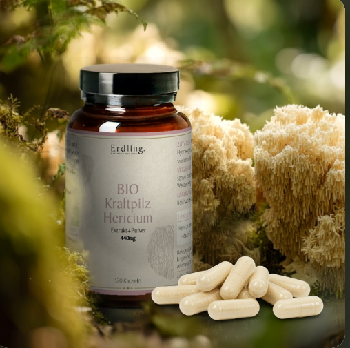 Kraftpilz Hericium – Bio-Pulver & Extrakt – 120 Kapseln