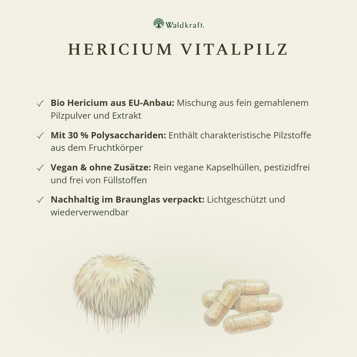 Kraftpilz Hericium – Bio-Pulver & Extrakt – 120 Kapseln