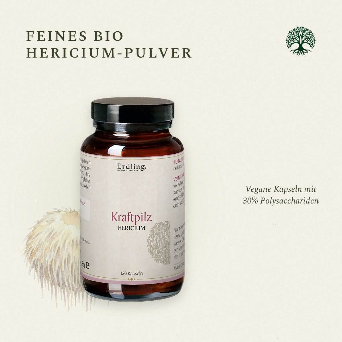 Kraftpilz Hericium – Bio-Pulver & Extrakt – 120 Kapseln