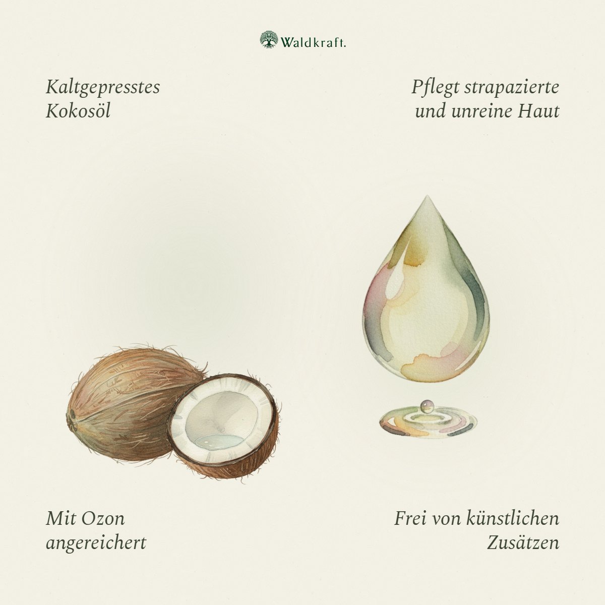 Kokoo³, Ozonisiertes Kokosöl zur Hautpflege 50ml von Waldkraft, Ansicht 3