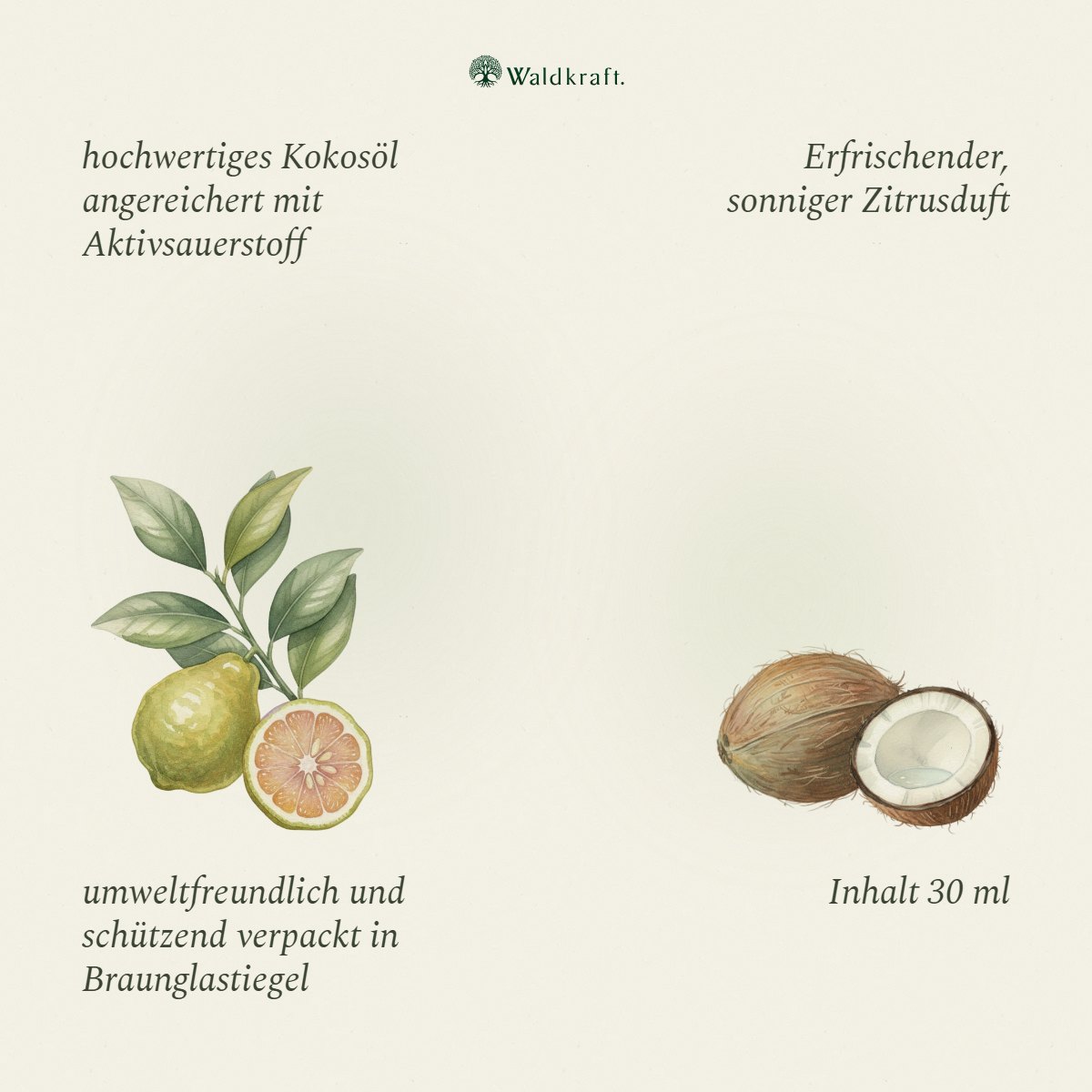 Kokoo³ Sonnenschein, Ozonisiertes Kokosöl mit Mandarine & Bergamotte, 30ml von Waldkraft, Ansicht 3