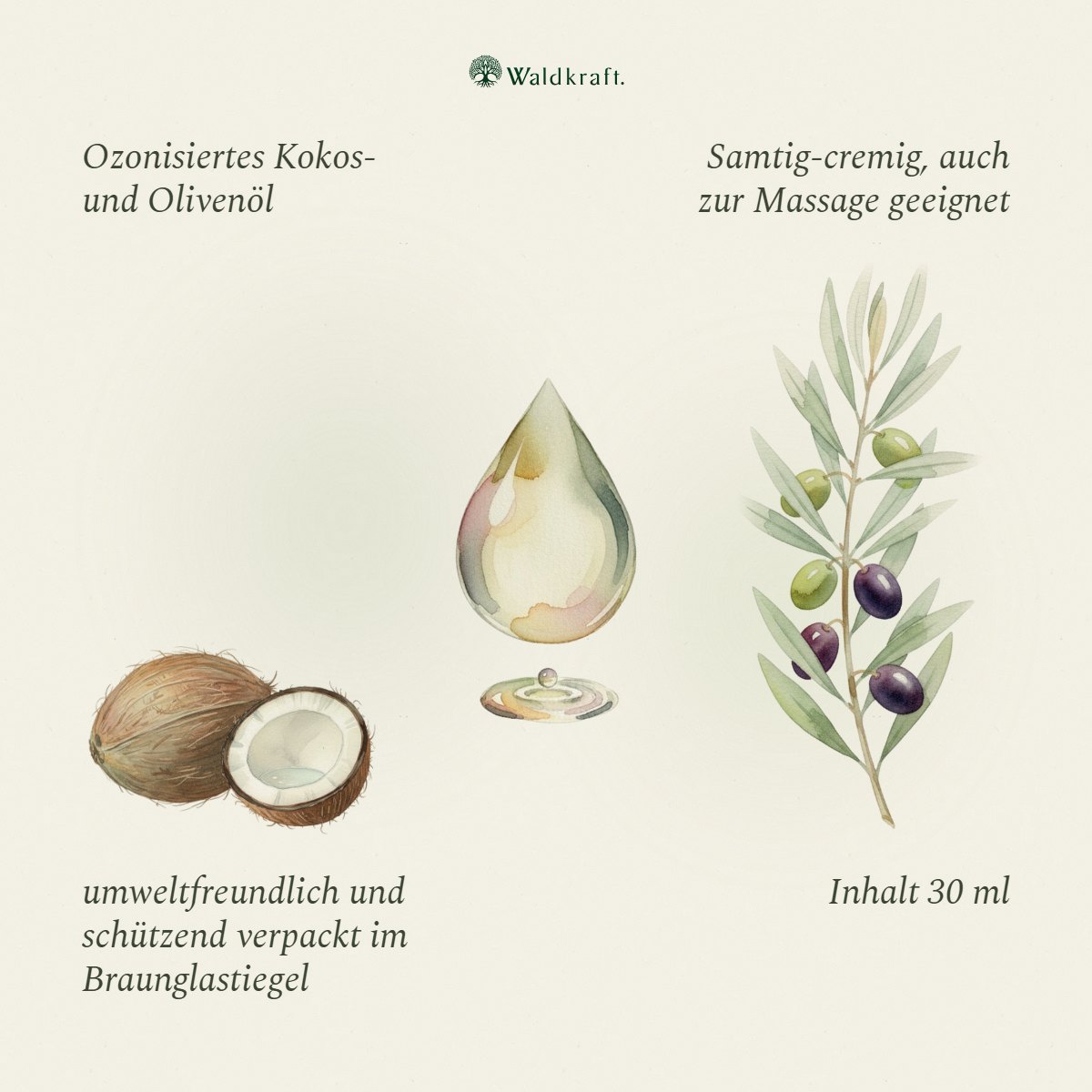 Kokoo³ Olive – Ozonisiertes Kokosöl mit Olivenöl – 30ml