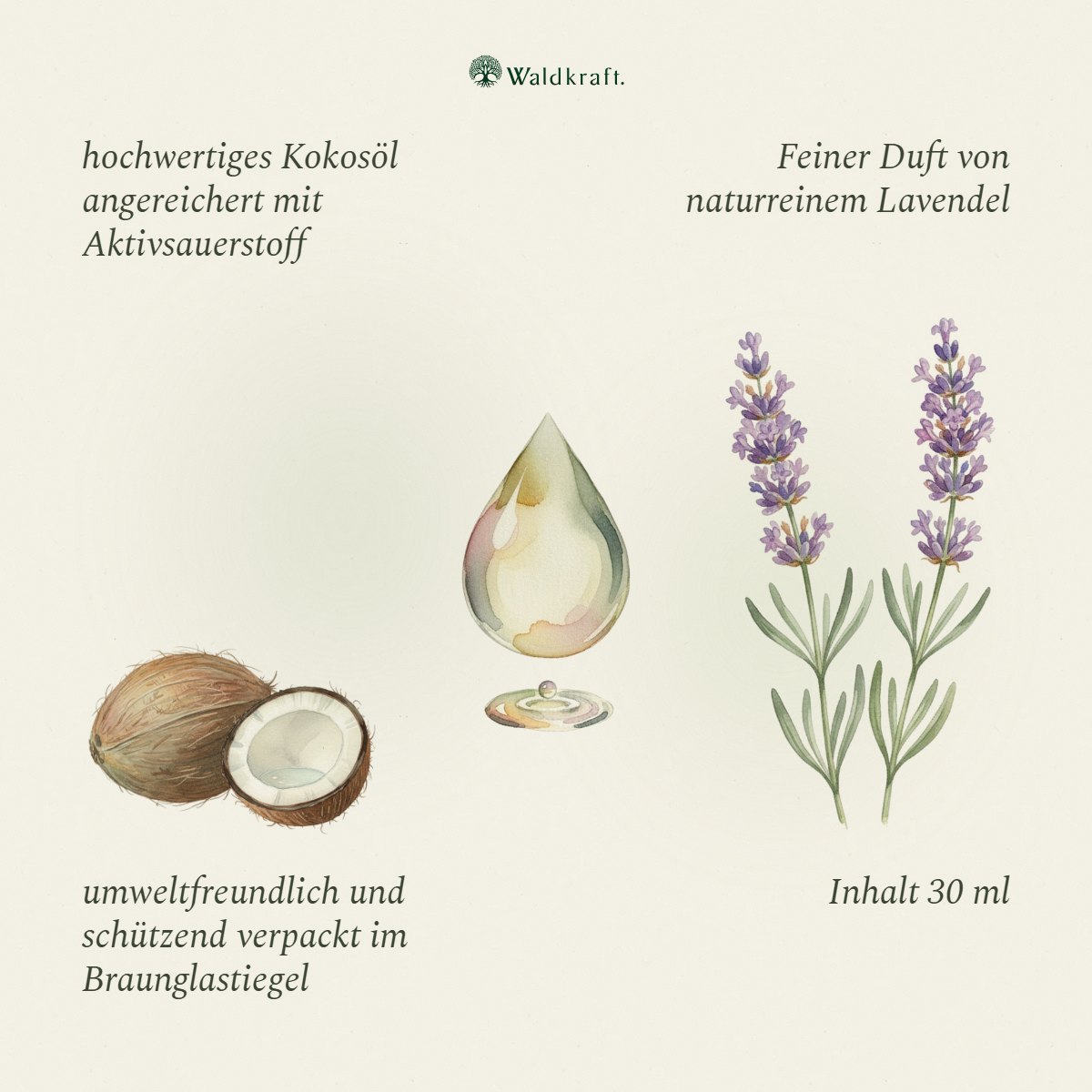 Kokoo³ Lavendel – Ozonisiertes Kokosöl mit Lavendel – 30ml
