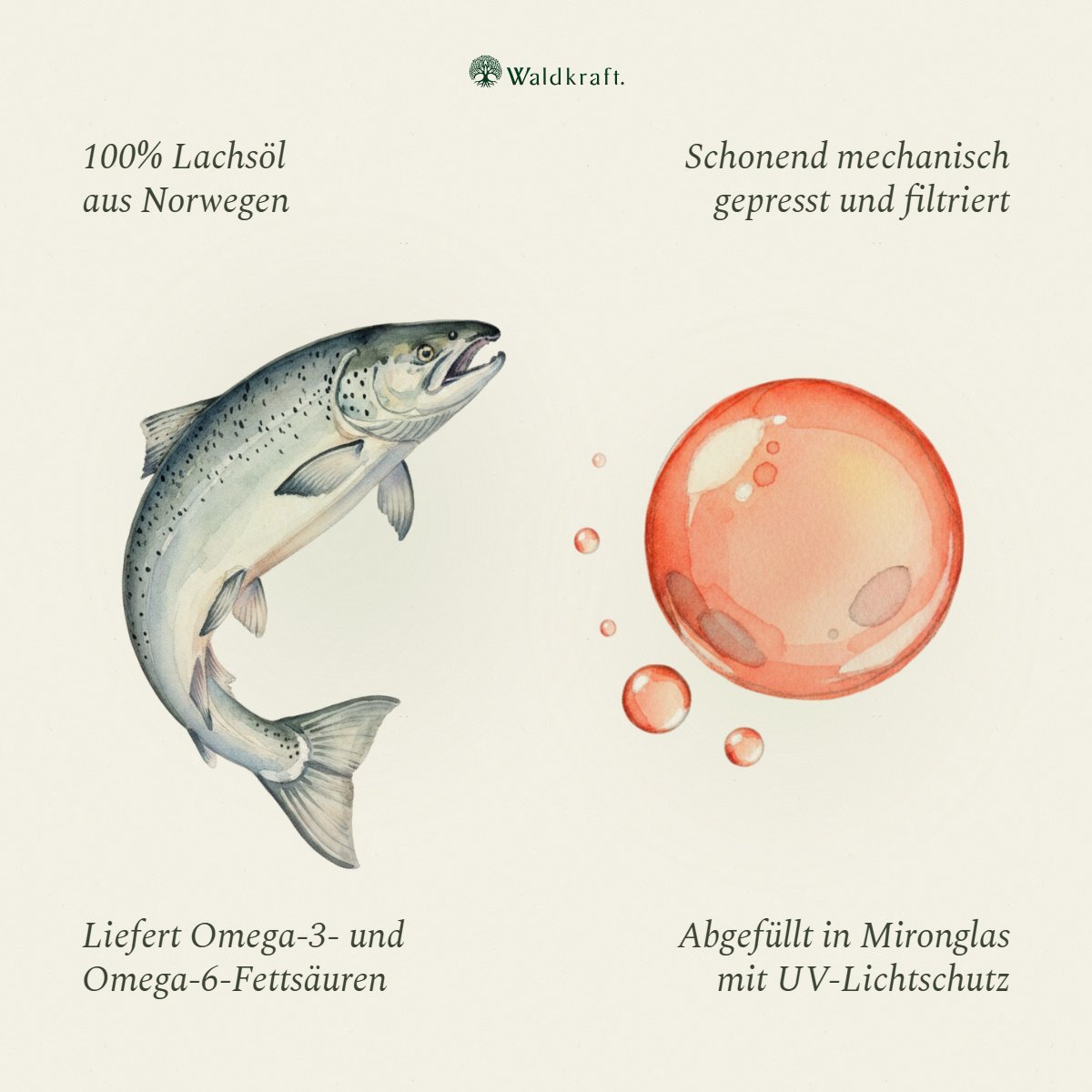 Lachsöl, 100% nativ, ohne Zusätze, 250ml von Waldkraft, Ansicht 2