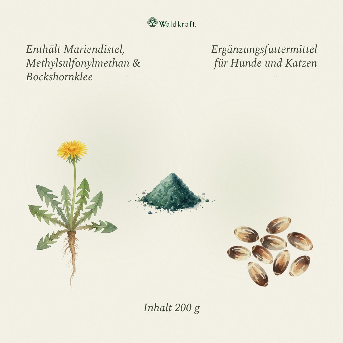 Leberkraft – Kräutermischung für die Leber – 200g