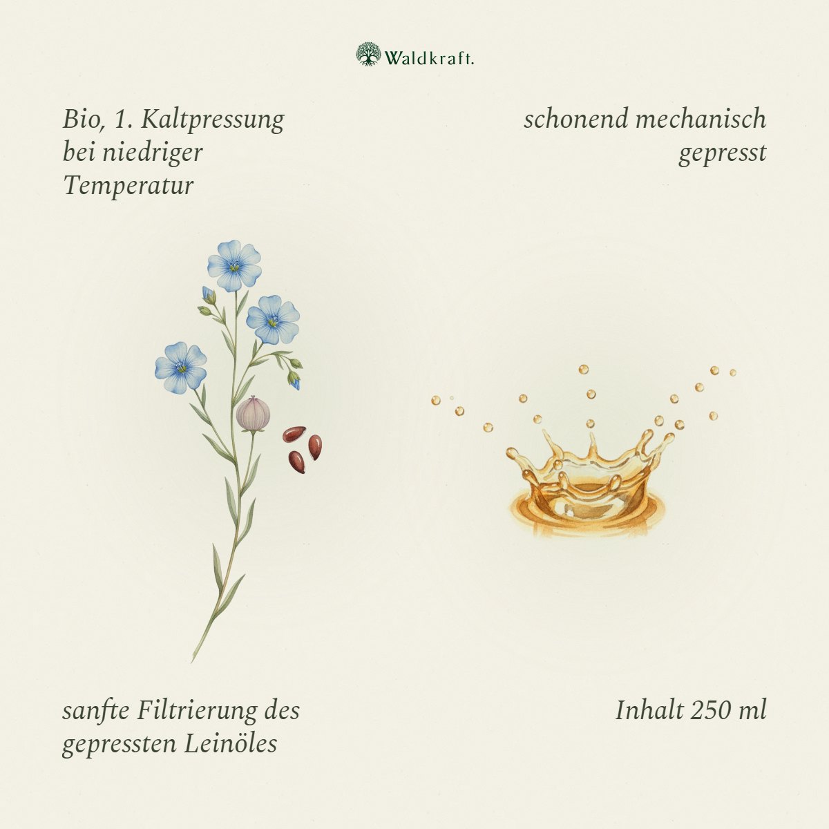 BIO Leinöl – 1. Kaltpressung – 250ml