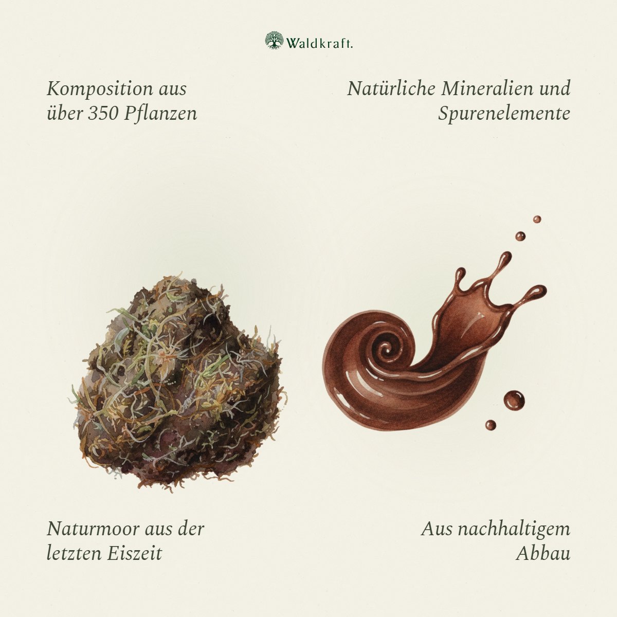 Phyto Moor, Biologisch aktives Vitalstofftonikum 500ml von Waldkraft, Ansicht 2