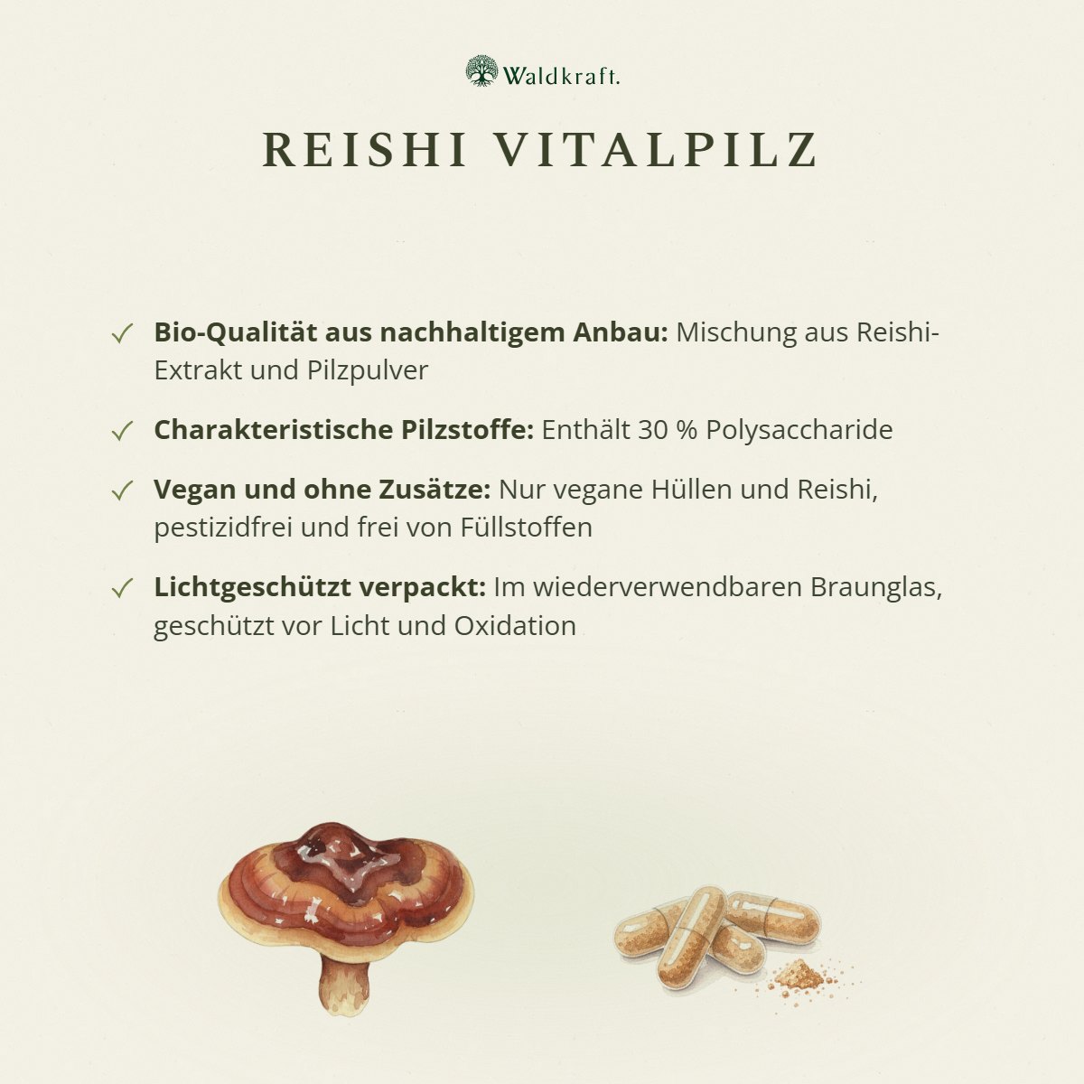 Kraftpilz Reishi – Bio-Pulver & Extrakt – 120 Kapseln