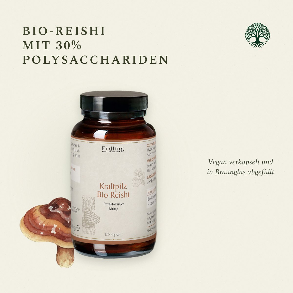 Kraftpilz Reishi – Bio-Pulver & Extrakt – 120 Kapseln