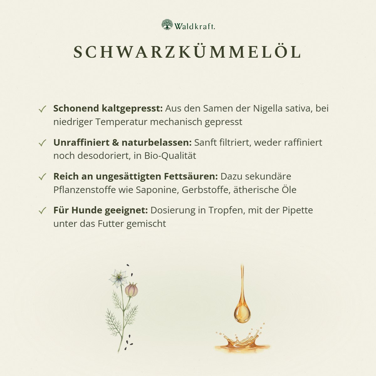 BIO Schwarzkümmelöl aus Ägypten, 1. Kaltpressung, 250ml von Waldkraft, Ansicht 3