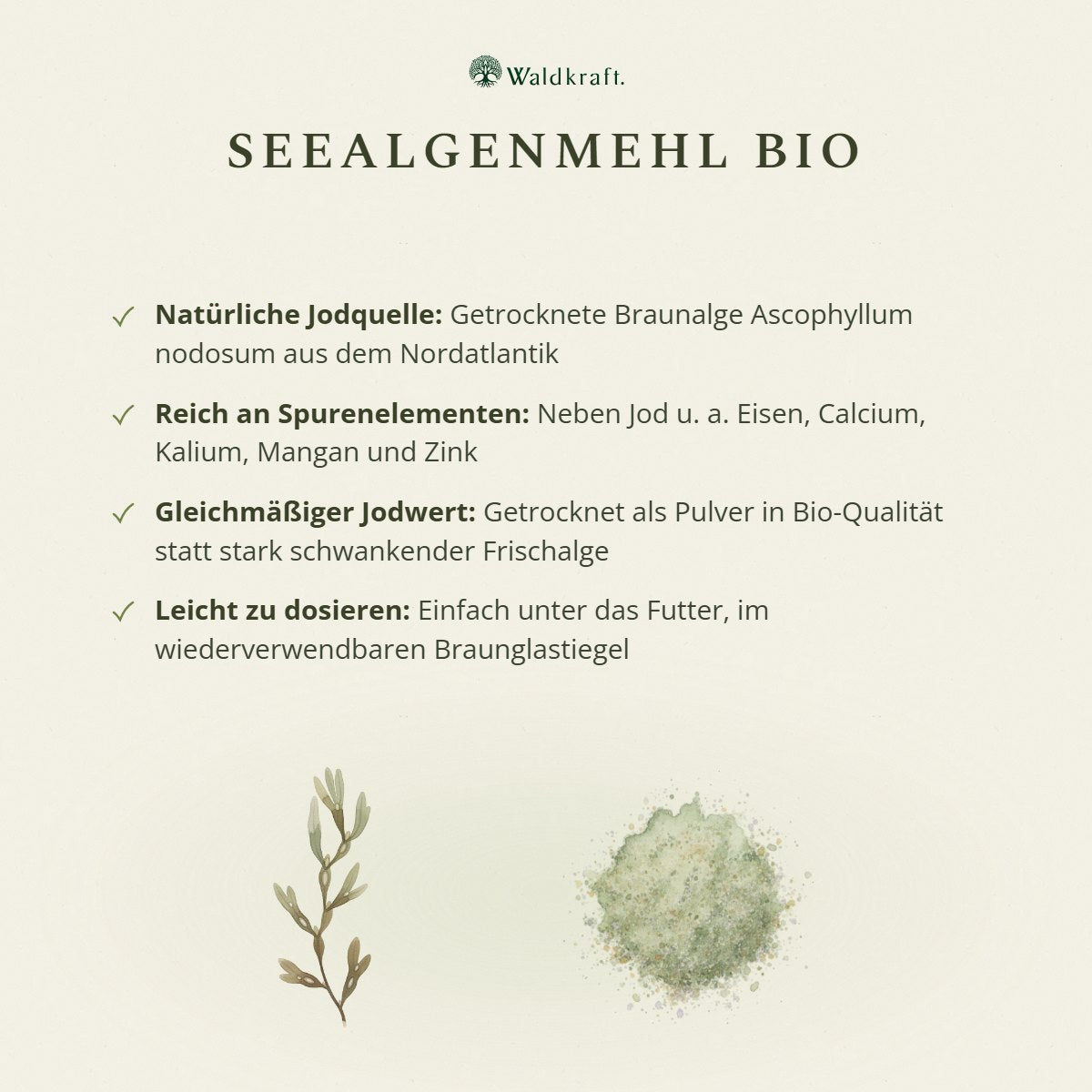 BIO Seealgenmehl – Natürliche Jodquelle (Ascophyllum nodosum) – 250g