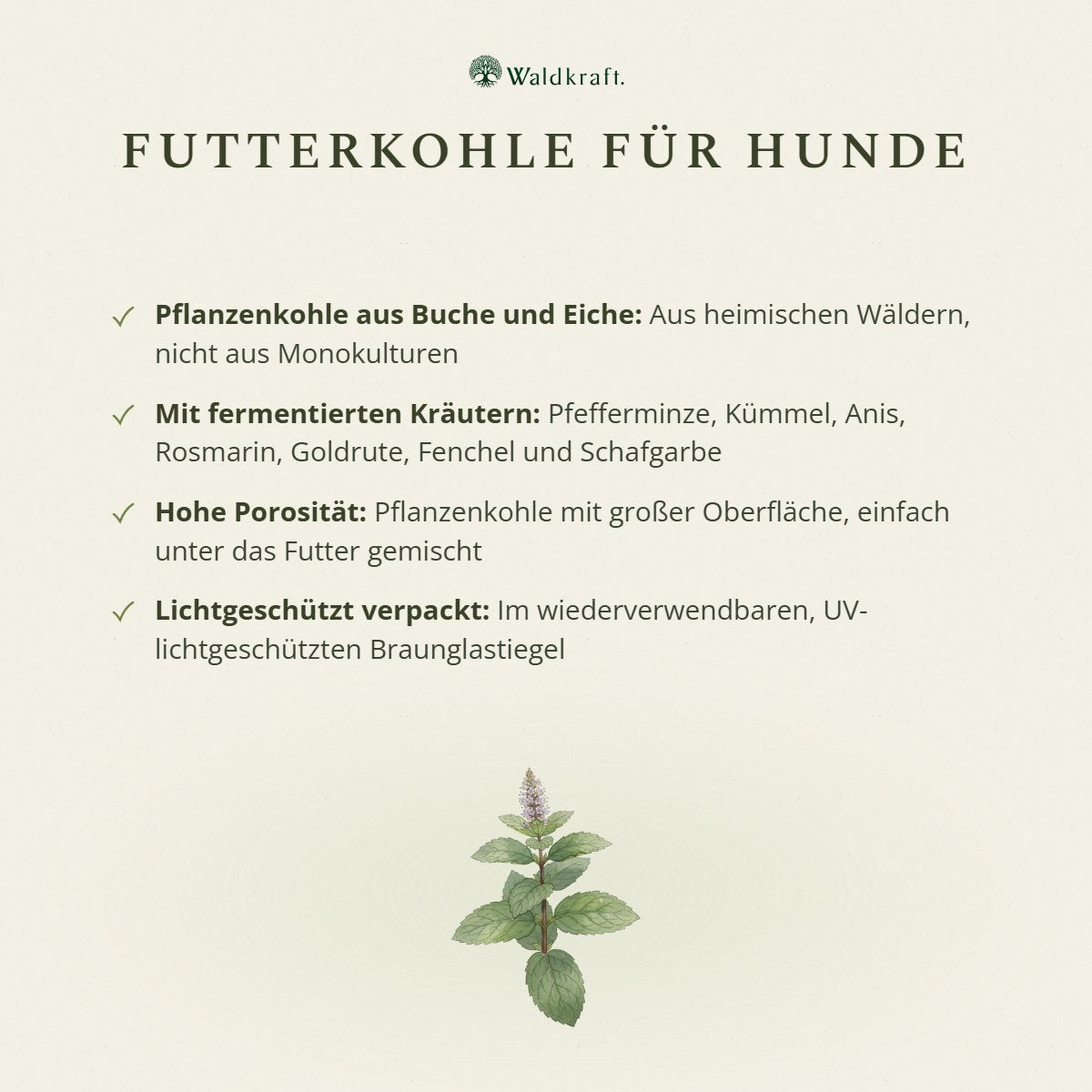 Futterkohle für Hunde – Buche & Eiche – Tiegel 100g