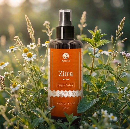 Zitra – Natürlicher Zeckenschutz Spray – 100ml