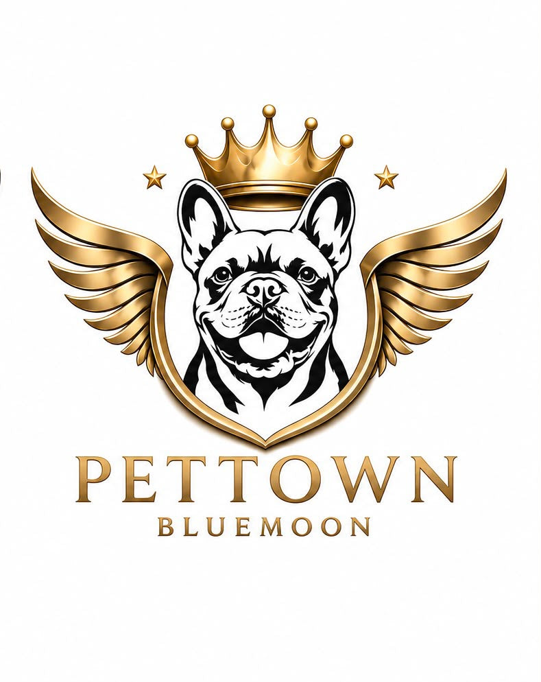 Bluemoon French Bulldog